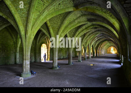 Fountains Abbey, Studley Royal, le Cellarium, Yorkshire du Nord, Banque D'Images