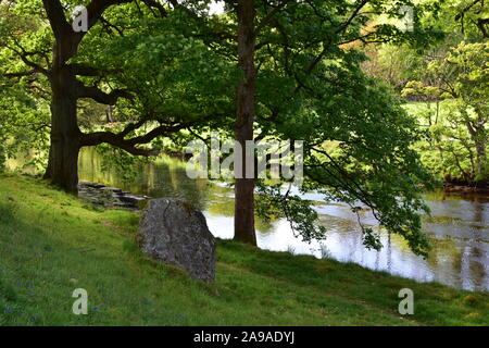 River Wharfe près de Saint-cergue au printemps, Yorkshire du Nord Banque D'Images