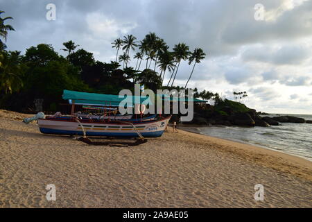 Plage de Palolem, Goa Banque D'Images