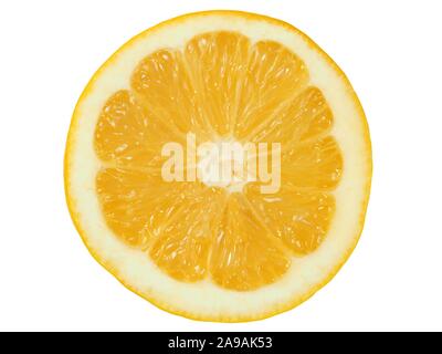 Tranche de citron juteux isolé sur fond blanc Banque D'Images