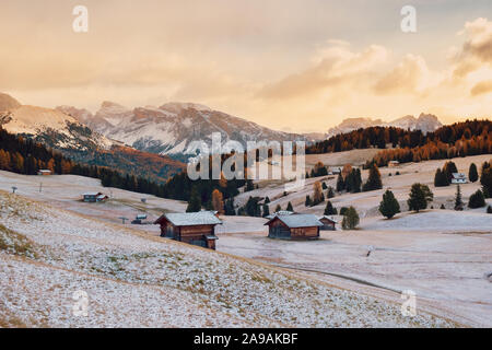 Beau décor de l'automne à l'Alpe di Siusi ou Siusi avec Sassolungo Langkofel - groupe de la montagne en arrière-plan dans les Alpes, les Dolomites Tyrol du Sud, Italie. Banque D'Images