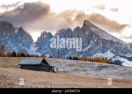 Beau décor de l'automne à l'Alpe di Siusi ou Siusi avec Sassolungo Langkofel - groupe de la montagne en arrière-plan dans les Alpes, les Dolomites Tyrol du Sud, Italie. Banque D'Images