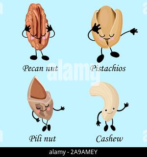 Collection de caractères les écrous. Des aliments sains. Le végétarisme et alimentation saine. Les noix de cajou, pistaches, noix de pécan.. Illustration de Vecteur