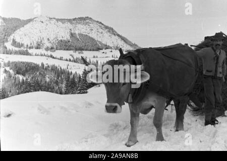 Un paysage d'hiver enneigé, Allemagne 1930. Banque D'Images