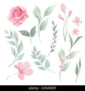 Ensemble de feuilles et fleurs Banque D'Images