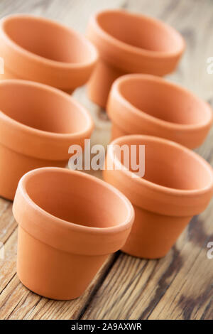 Les pots de fleurs sur bois Banque D'Images