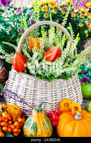 Décorations d'automne avec des citrouilles et des fleurs Banque D'Images