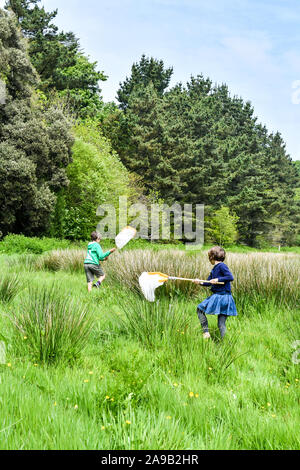 Les jeunes écologistes participent à une enquête sur la faune et à un nettoyage de la plage à Cornwall, un apprentissage en plein air organisé par Cornwall Wildlife Trust Banque D'Images