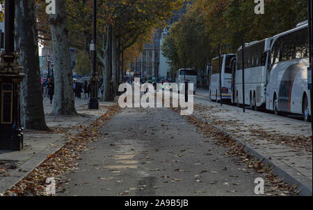 Voie cyclable désignée avec les feuilles d'automne le long de Victoria Embankment à la Tamise, Westminster, London, England, UK en novembre l'automne. Banque D'Images