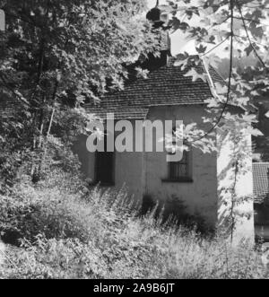 L'été dans la Forêt-Noire, Allemagne 1930. Banque D'Images