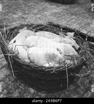 L'été à la campagne, à l'Allemagne des années 1930. Banque D'Images