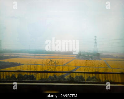Express train voyageant à travers rizières dans la saison de récolte d'or avec des maisons éparpillées entre terres agricoles et montagnes sur l'horizon lointain Banque D'Images