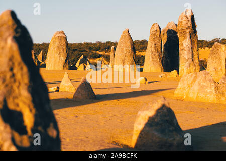 Le Pinnacle Desert au coucher du soleil, des formations calcaires au Parc National de Nambung, Cervantès, l'ouest de l'Australie Banque D'Images