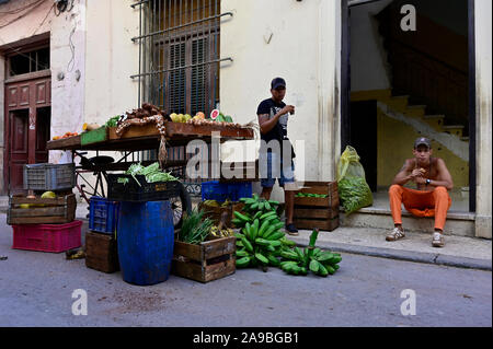 20.07.2019, La Havane, La Havane, Cuba - Scène de rue à La Havane. Dealer vendant des fruits et des légumes dans la vieille ville. 0RL190720D035CAROEX.JPG [communiqué de modèle Banque D'Images