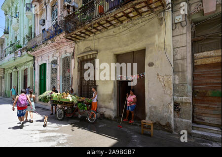 20.07.2019, La Havane, La Havane, Cuba - Scène de rue à La Havane. Concessionnaire vend des fruits et légumes dans la vieille ville. 0RL190720D060CAROEX.JPG [communiqué de modèle : Banque D'Images