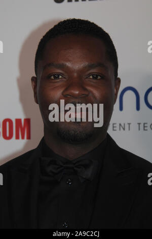 Los Angeles, USA. 05Th Nov, 2019. David Oyelowo 11/08/2019 "La 33e Annual American Cinematheque Award" au Beverly Hilton Hotel à Beverly Hills, CA : Crédit Cronos/Alamy Live News Banque D'Images