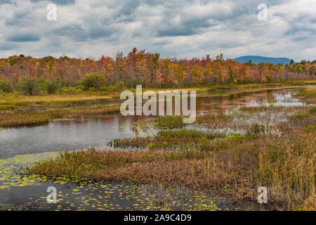 Couleurs d'automne ornent le Lac Pleasant, Adirondacks, comté de Hamilton, New York Banque D'Images