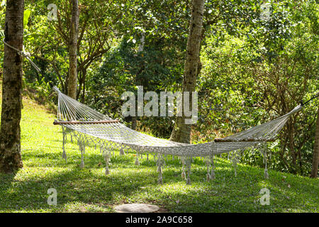 Hamac confortable entre palmiers dans un magnifique jardin tropical à l'île de Bali, Indonésie, l'orientation horizontale Banque D'Images