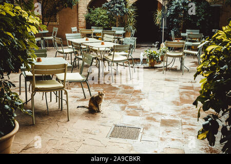 Détail de jardins Majorelle à Marrakech Banque D'Images