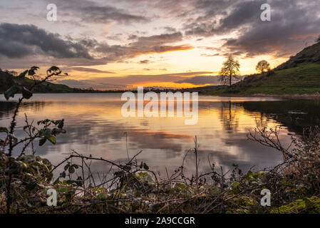 Coucher de soleil doré reflété sur la surface du lac, image miroir encore calme, magnifique paysage de nuages dorés, avec grand arbre silhouetté Banque D'Images