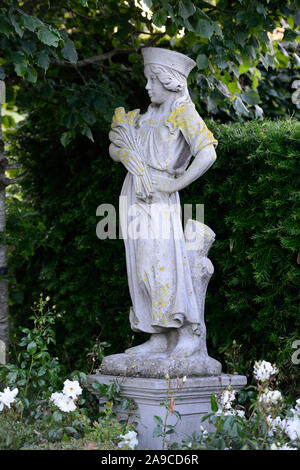 Rosa Iceberg iceberg,Rose,floribunda roses,rose,blanc,jardin,couverture,couverture quatre saisons d'été,statues,statue,fleurs,fleurs,fleurs jardin s Banque D'Images