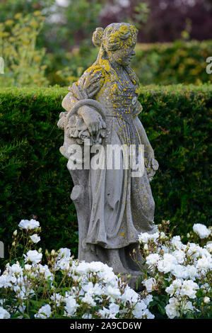 Rosa Iceberg iceberg,Rose,floribunda roses,rose,blanc,jardin,couverture,couverture quatre saisons automne,statues,statue,fleurs,fleurs,fleurs jardin s Banque D'Images