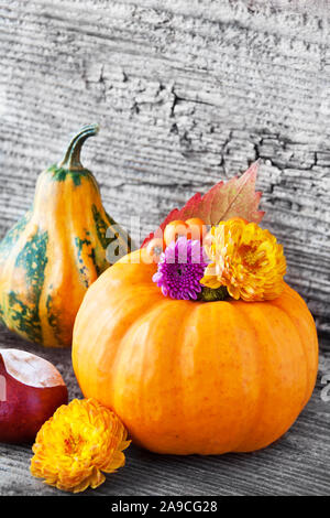 Automne décoration saisonnière avec des citrouilles Banque D'Images