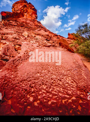 Honeycomb rock et tower, Rainbow Valley National Park, Territoire du Nord, Australie, grès Hermannsburg Banque D'Images