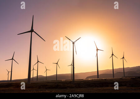 La ferme éolienne de production d'énergie renouvelable au coucher du soleil, plusieurs moulin produisant de l'électricité écologique propre, développement durable Banque D'Images