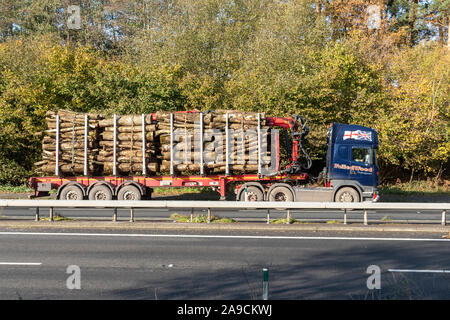 Camion chargé de billes roulant le long d'une route à deux voies, au Royaume-Uni. Camion de transport de bois abattus sur la route principale. Banque D'Images