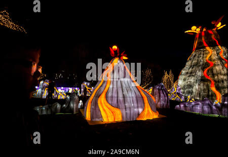 Zoo d'Édimbourg, Écosse, Royaume-Uni, 14 novembre 2019. Lanternes géantes au zoo d'Édimbourg. Le thème de la spectaculaire exposition de lanternes de cette année est « Lost Worlds », avec des dinosaures qui se baladaient sur un sentier étendu autour du zoo. Il présente des créatures étranges et merveilleuses de plus de 570 millions d'années de faune. Photo : Jamie carter, âgé de 8 ans, admire les lanternes du volcan Banque D'Images