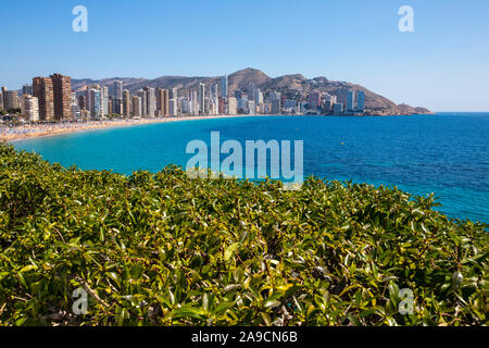 La vue à partir de la Plaza del Castell donnant sur la plage de Levante à Benidorm, Espagne. Banque D'Images