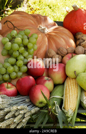 La nutrition, la santé, l'alimentation saine, des fruits et légumes Banque D'Images