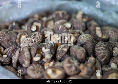Shiitakes séchés dans un sac. C'est une scène typique pour les marchés asiatiques. Différents types de champignons sont exposés et vendus. Banque D'Images
