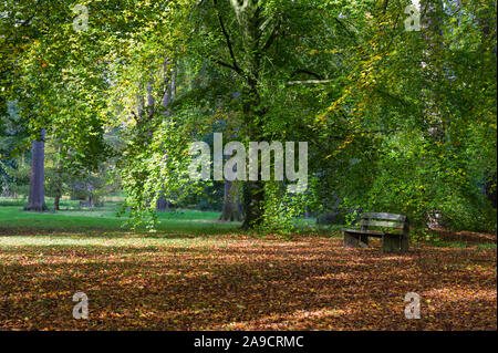 Couleurs d'automne à l'Arboretum National de Westonbirt, Gloucestershire, Angleterre, Banque D'Images