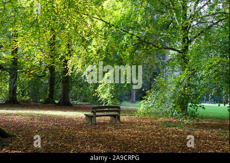 Couleurs d'automne à l'Arboretum National de Westonbirt, Gloucestershire, Angleterre, Banque D'Images