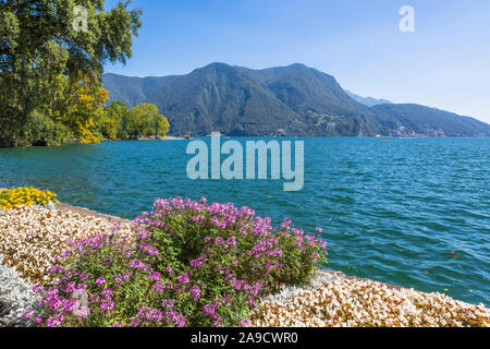 City Park Ciani par le lac de Lugano, le Parco Civico, lago di Lugano, Lugano, Tessin, Suisse, Europe Banque D'Images