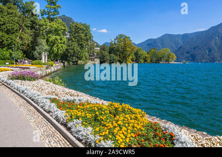 City Park Ciani par le lac de Lugano, le Parco Civico, lago di Lugano, Lugano, Tessin, Suisse, Europe Banque D'Images