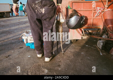 Marché du poisson au port de Tanger, Maroc Banque D'Images