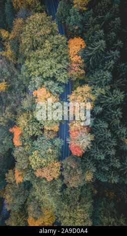 Allemagne, Saxe, Amtsberg, couleur d'automne, arbres et street dans le quartier de Dittersdorf Banque D'Images