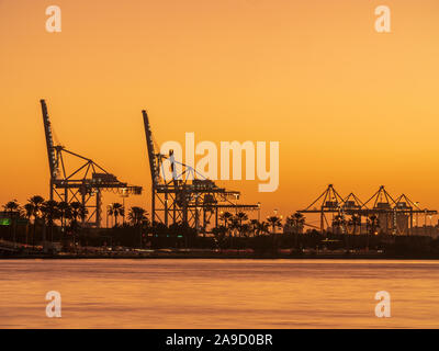 Rose fantastique coucher de soleil au port de Miami, USA Banque D'Images