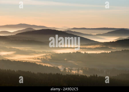 Brouillard matinal dans le parc national de Sumava en Tchéquie, la Forêt de Bohême, vue de l'Siebensteinkopf Finsterau, près du parc national, la Forêt bavaroise, L Banque D'Images