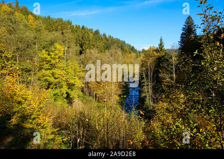 River Erlau avec Thyrnau, la forêt de Bavière, Thuringe, Bavière, Allemagne Banque D'Images