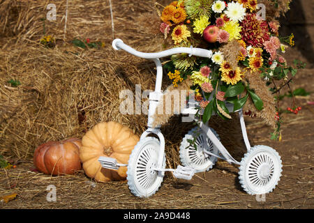 Vélo pour enfants peints en blanc, venu de citrouilles et un panier de fleurs sur un fond de balle de paille. Banque D'Images