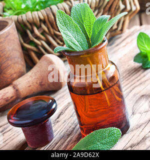 La médecine de fines herbes huile sauge Banque D'Images