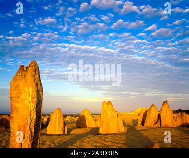 Désert des Pinnacles au coucher du soleil, Parc Nationale Nambung, l'Australie, l'Océan Indien près de piliers de calcaire Banque D'Images