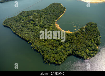 L'île du lac boisé dans Halterner réservoir, Haltern am See, Ruhr, Rhénanie du Nord-Westphalie, Allemagne Banque D'Images