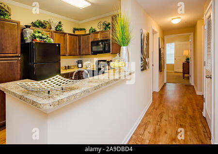 Un bar sépare la cuisine du couloir à Cypress Cove Maisons de vacances dans la région de Mobile, Alabama. Le complexe d'appartements est détenu et exploité par Sealy. Banque D'Images