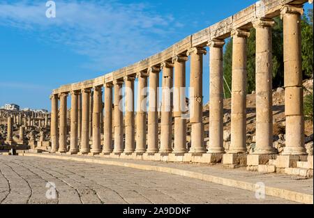 Colonnes ioniques à Oval Plaza, Forum, Jerash, Jordanie Banque D'Images