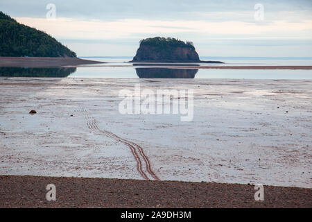 Marée basse dans la boue avec un ensemble de pistes à partir d'un véhicule hors route en voiture à travers la saleté ou la boue humide Banque D'Images
